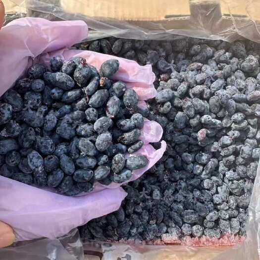 速冻蓝靛果黑瞎子果黑龙江小时候的味道略苦微甜越吃越好吃