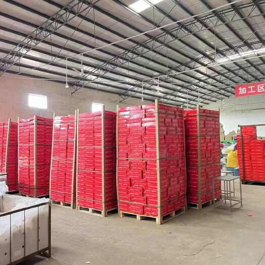 白水县陕西渭南白水县优质苹果新鲜采摘现发货健康好滋味