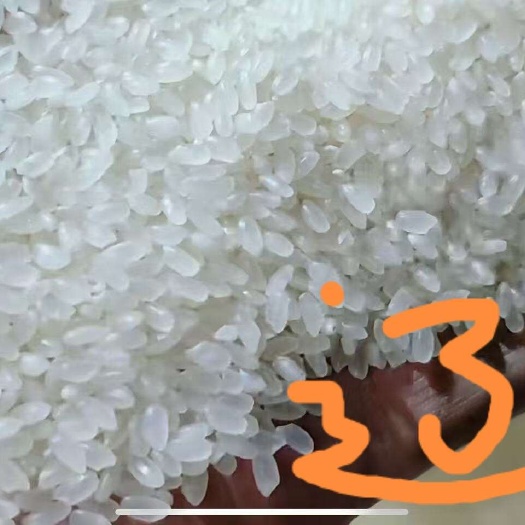 沈阳东北大米没有菜都能吃两碗大米饭的好大米