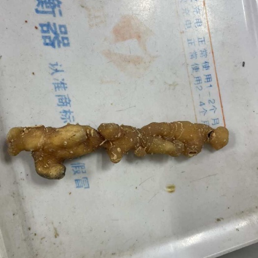 成都黄精熟条，黄精条