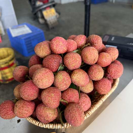高州白糖罂荔枝