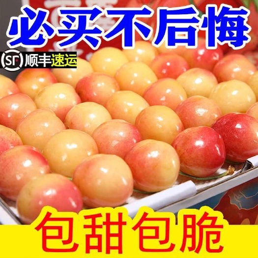 东平县【顺丰】大樱桃黄蜜布鲁克斯超甜山东黄金车厘子比普通樱桃好吃很