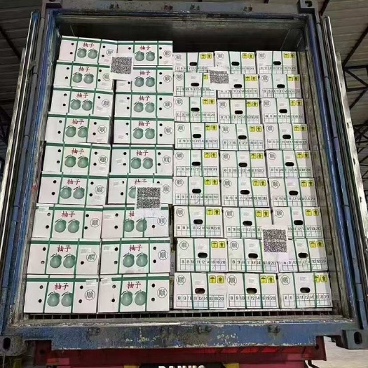 泰国青皮密柚，红柚，脆甜爆汁，批发零售一件代发，对接电商