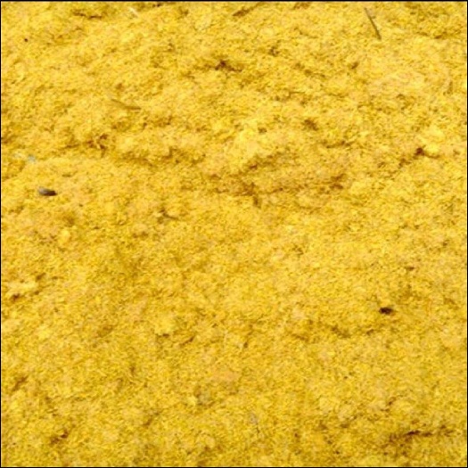 遂平县河南驻马店优质蒲黄中药材 干燥花粉天然产地直供