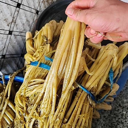 雪里红酸菜，
