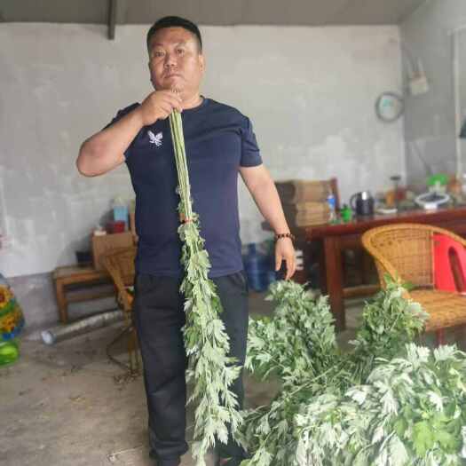 鲁山县端午艾条，每十只一把