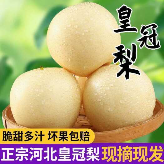 长沙梨子