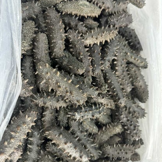 各种即食海参、干海参礼盒、各种规格拉缸盐海参【代泡发】