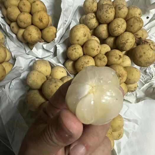 泰国龙宫果