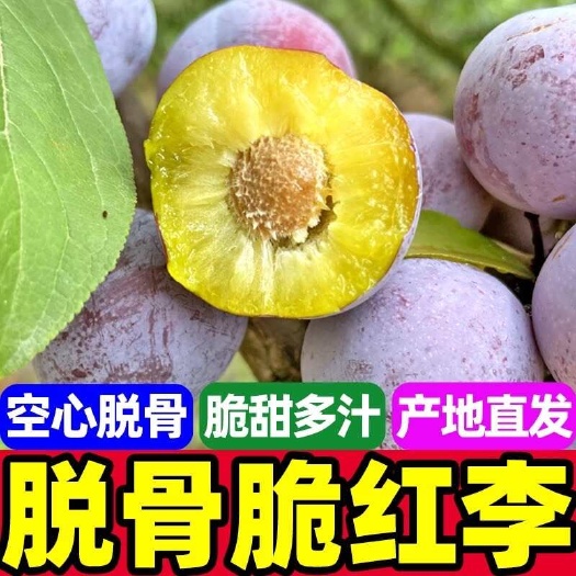 金堂县四川金堂五月脆李子2-3cm精品果 纸箱装快递代发坏损包赔
