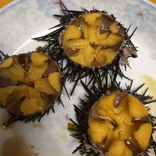 大连精品小紫胆，自助餐专用，价格优势，一手直发