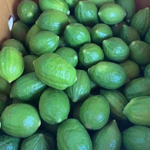 昆明香水柠檬