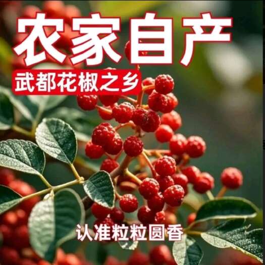 陇南陇南大红袍花椒