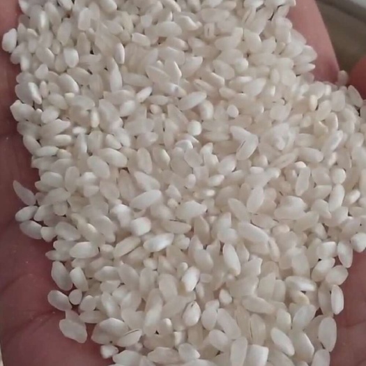 贵阳早稻粉米