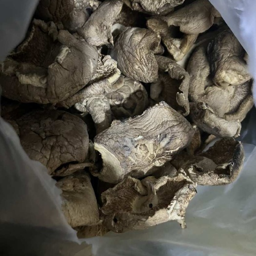 福州大片香菇干，木头烤干香味十足