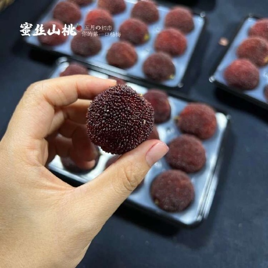 温岭市蜜麒麟.蜜丝山桃-东魁杨梅