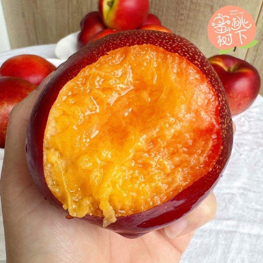 蜜桃树下·向山红黄肉油桃·15°以上糖