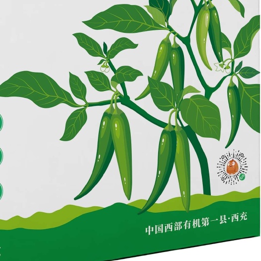 西充县樟树港辣椒（西充种植基地）