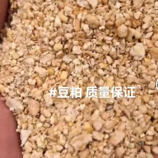 秦皇岛益海嘉里豆粕(秦皇岛金海)   油厂直发