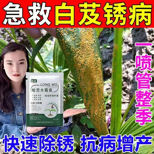 栾川县白芨病专用病全治白芨杀菌剂叶枯锈病软腐炭疽病黄叶根腐病除菌剂