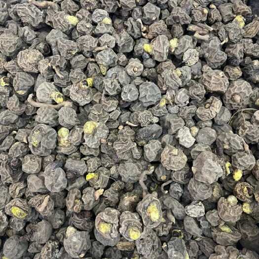 昆明土洋参土阳参高原金龟球中药材正宗新货无硫天然晒干金龟子泡水