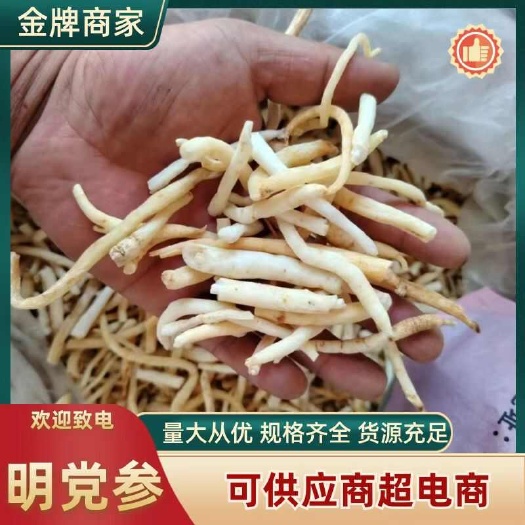 鄄城县无硫明党参 质量如图 货好 货干 无硫货 欢迎下单