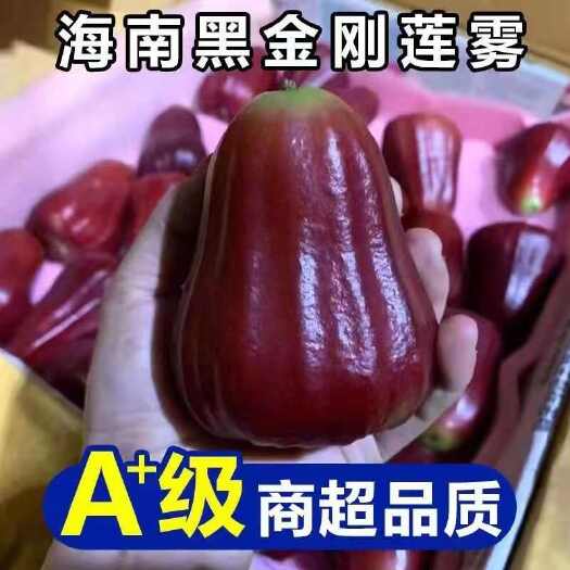 三亚海南莲雾果黑金刚新鲜水果季热带红莲雾果整箱特产包邮批发