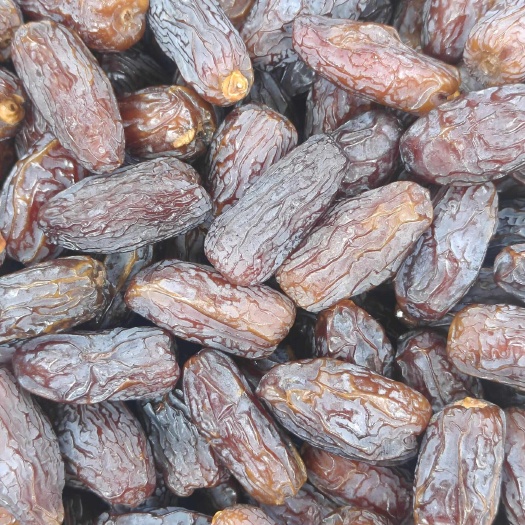 深圳沙特阿拉伯椰枣单颗20g以上