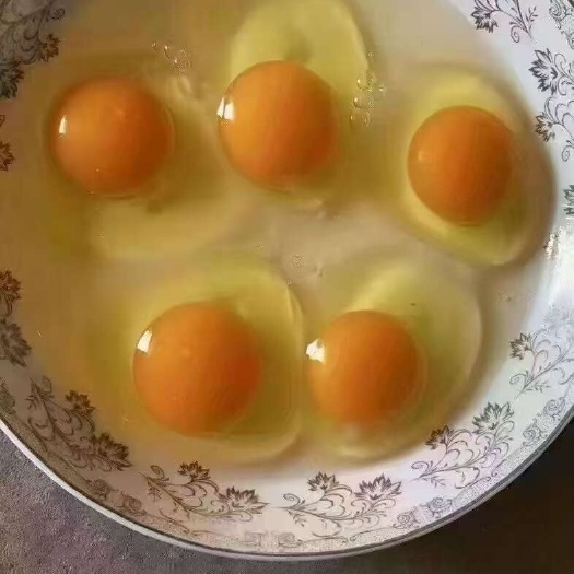 哈尔滨土鸡蛋