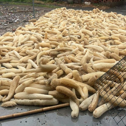 西峡县丝瓜络电商货量很大