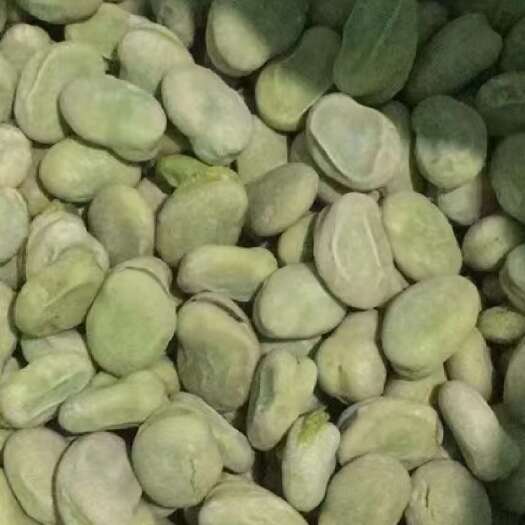 临沭县速冻蚕豆粒