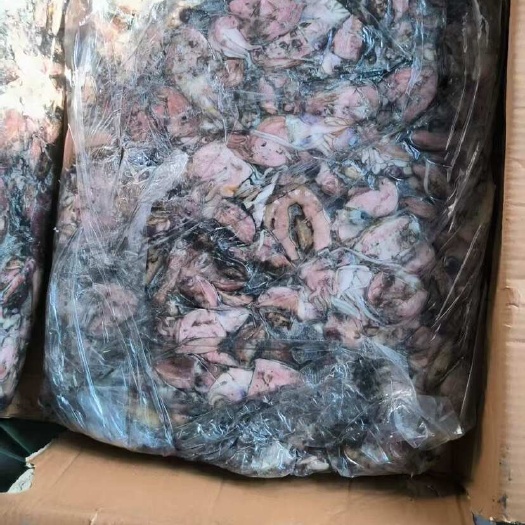 防城港巴基斯坦20/50墨鱼仔原料