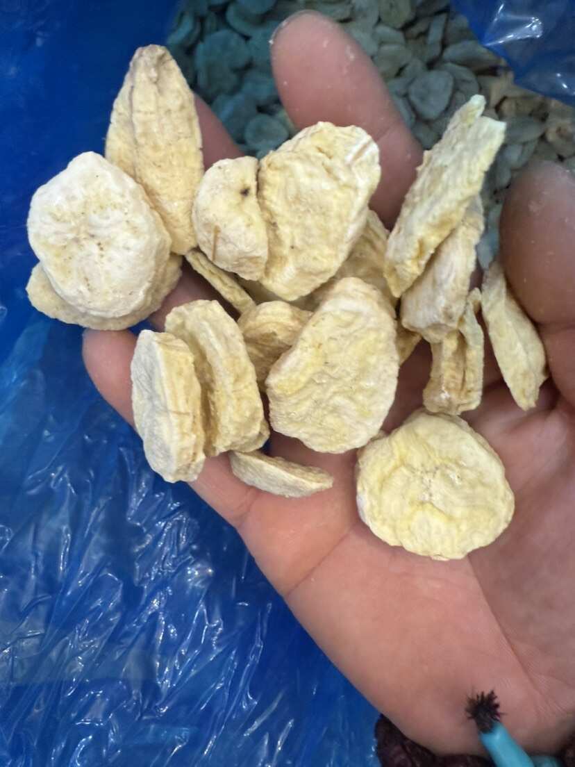 【批发联系商家】冻干香蕉片 口感好 无 添加实物拍摄