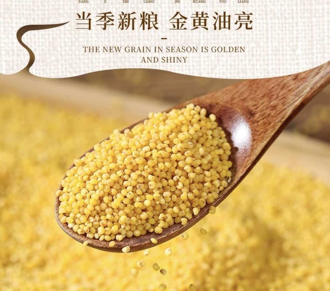 化石戈山地新鲜营养黄小米辽宁阜新特产东北5斤装