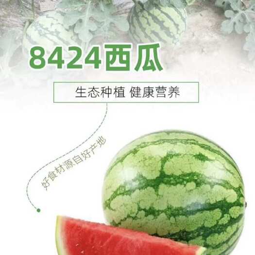宜城市湖北襄阳美都西瓜 有籽新鲜水果整车发货坏损包赔支持代发