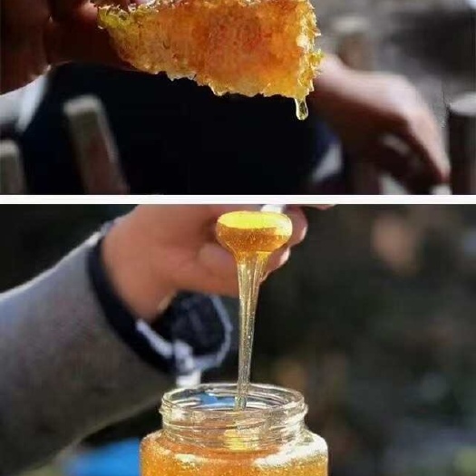 康县土蜂蜜