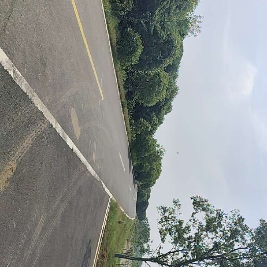 武汉寻求合作伙伴共同开发700亩库区荒地绿化树鱼塘荒地荒山荒坡地