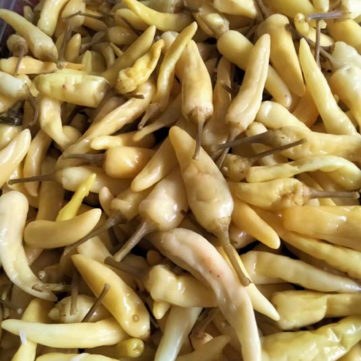 灵川县酸米椒:辣味十足，清香爽口
