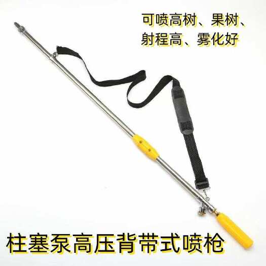 曲阜市远程高压喷枪农用打药水枪果树林业120型