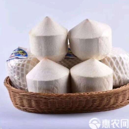 清爽可口当天采摘当天发，孕妇可喝
