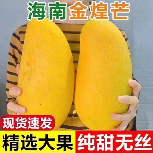 海南金煌芒水仙芒果整箱批发当季应季新鲜水果甜心芒水仙芒大青芒