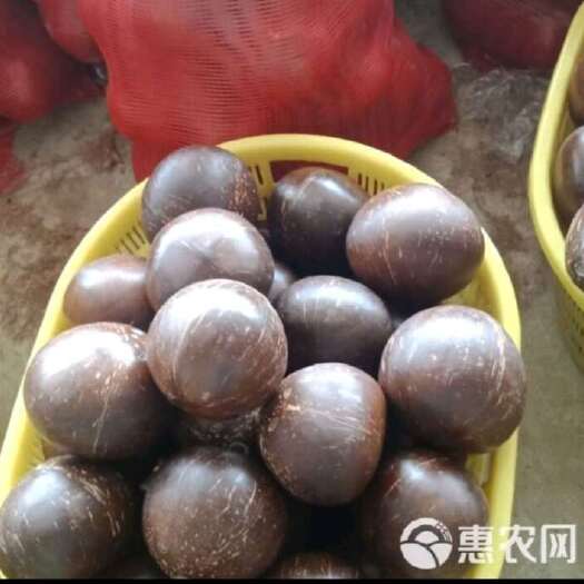 精选椰果，榨椰奶，炖鸡，椰子饭原料