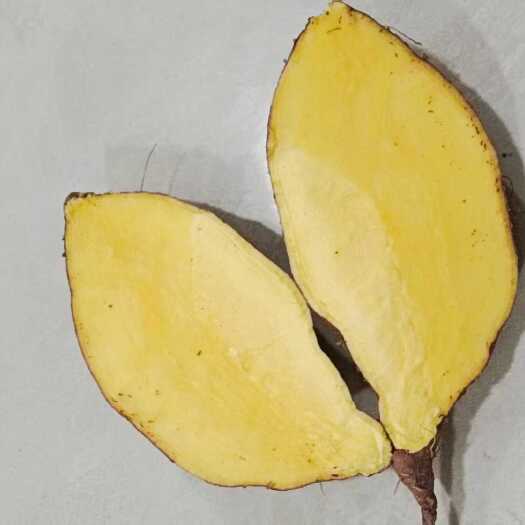 昆明云南特产，黄心红薯，彩色红薯！