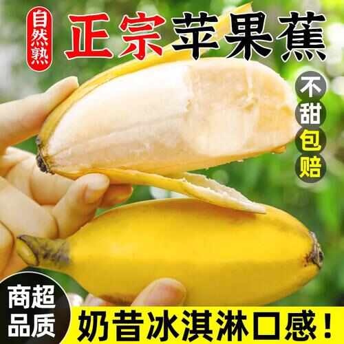 上林县正宗广西苹果蕉新鲜香蕉自然熟整箱