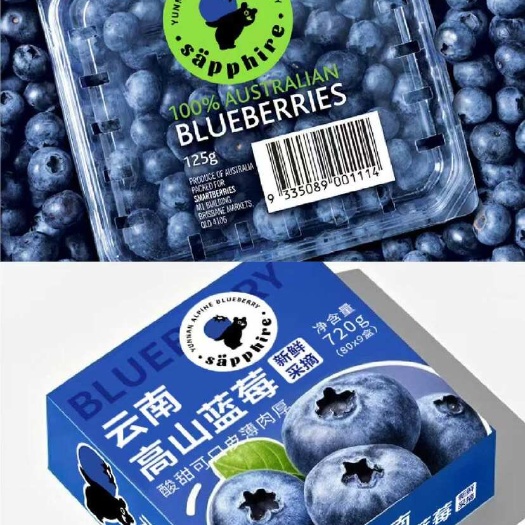 蓝丰蓝莓