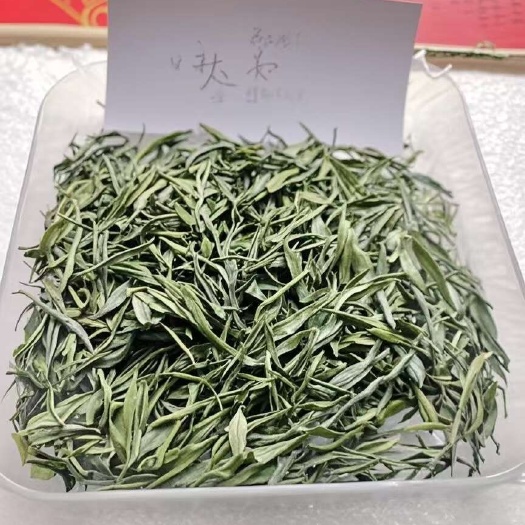 余庆县贵州雀舌翠芽明前春茶绿茶雀舌嫩芽走量茶