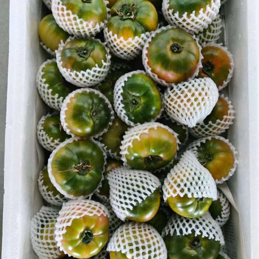 寿光市草莓西红柿