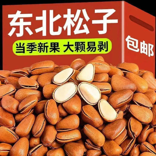 武汉东北松子特产大颗粒开口红松籽薄壳坚果炒货干果休闲零食量大优惠