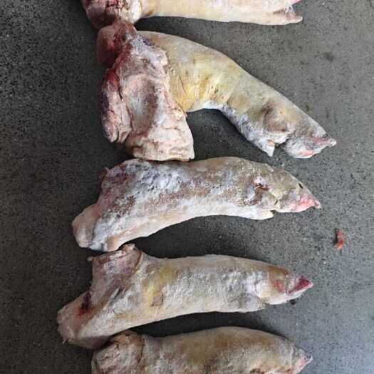 昆明猪蹄