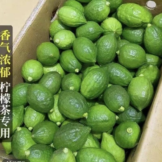 桂平市果园现摘广东香水柠檬一级二级果香味浓郁奶茶店专用